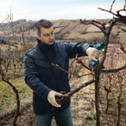 BOSCH Pro Pruner (SOLO)