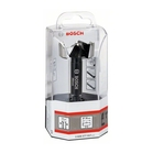 BOSCH Burghiu Forstner