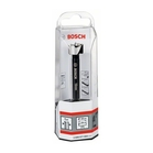 BOSCH Burghiu Forstner