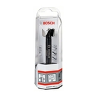 BOSCH Burghiu Forstner