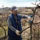 BOSCH Pro Pruner (SOLO)