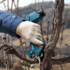 BOSCH Pro Pruner (SOLO)