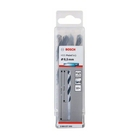 BOSCH Burghie HSS PointTeQ