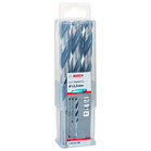 BOSCH Burghie HSS PointTeQ