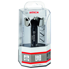 BOSCH Burghiu Forstner