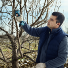 BOSCH Pro Pruner (SOLO)