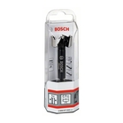 BOSCH Burghiu Forstner