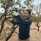 BOSCH Pro Pruner (SOLO)