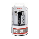 BOSCH Burghiu Forstner