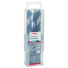 BOSCH Burghie HSS PointTeQ