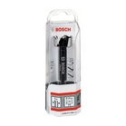 BOSCH Burghiu Forstner